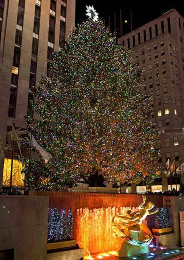 Самые красивые рождественские елки