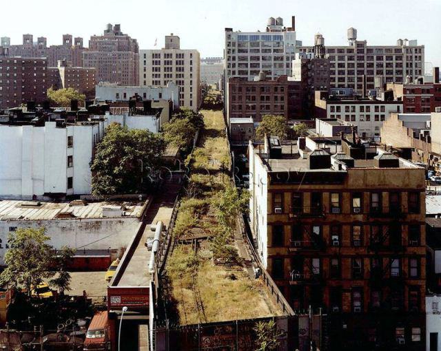 Зеленая полоса Манхеттена