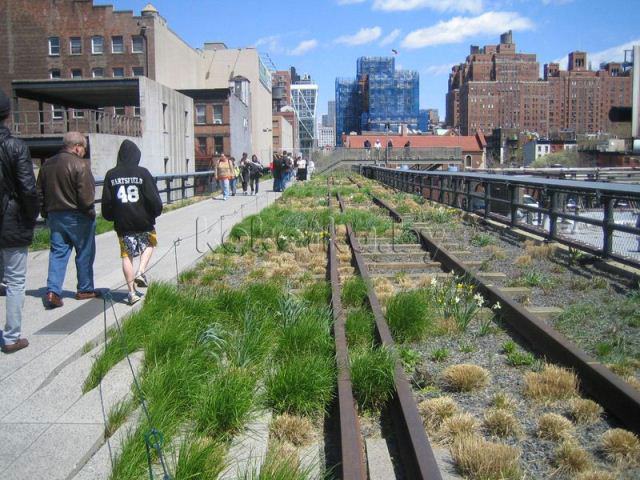 Зеленая полоса Манхеттена