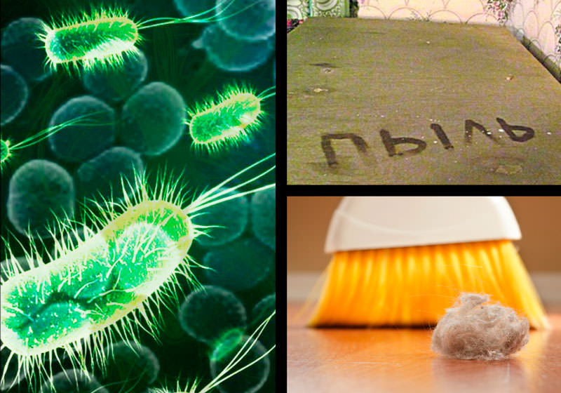 Фобия - боязнь бактерий, вирусов и пыли