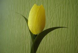 Желтый тюльпан своими руками. Мастер класс
