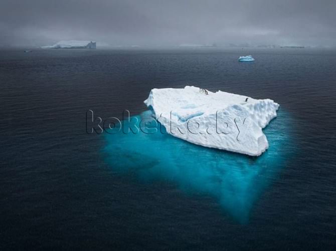 Лучшие фотографии от National Geographic за 2012 год