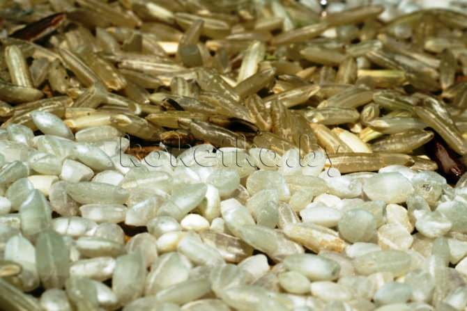 Очищение организма рисом
