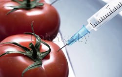 ГМО: за и против