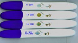 Цифровой тест на беременность