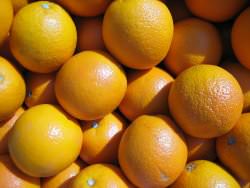 Эфирное масло апельсина для похуденияЭфирное масло апельсина для похудения