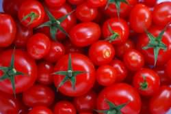 10 причин есть больше томатов