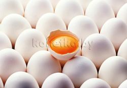 Польза сырых яиц