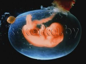 Фото плода - беременность 9 недель