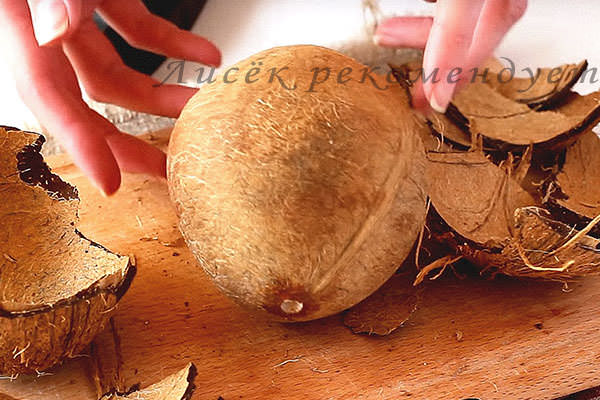 Сердцевина кокоса в нежной коричневой кожуре