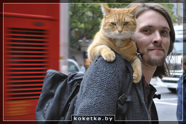 Уличный кот по имени Боб - реальная история невероятной дружбы