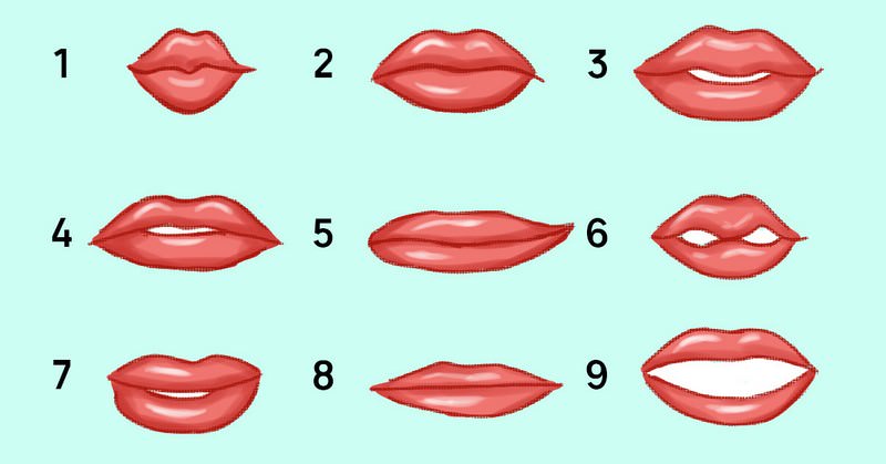 форма женских губ графика