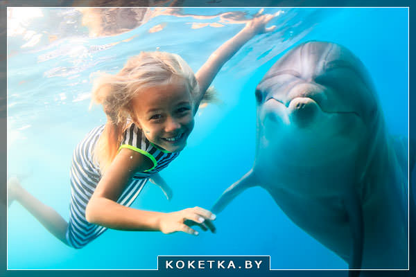 Сон в котором девушка купается с дельфином 