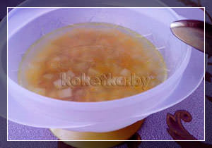 Рецепт приготовления супа с уткой для детей с фото