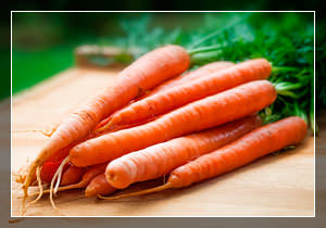 морковь защитит вас от опасной болезни