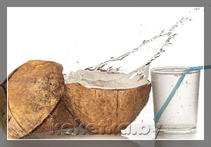 Кокосовое молоко и кокосовая вода: в чём разница?
