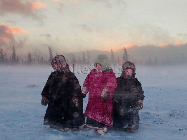 Лучшие фотографии от National Geographic за 2012 год