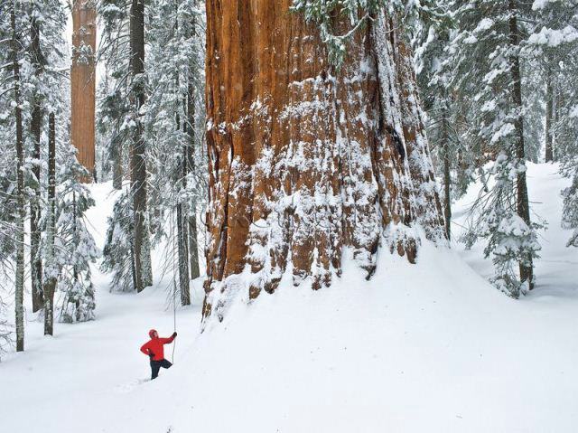 Лучшие фотографии от National Geographic за 2012 год