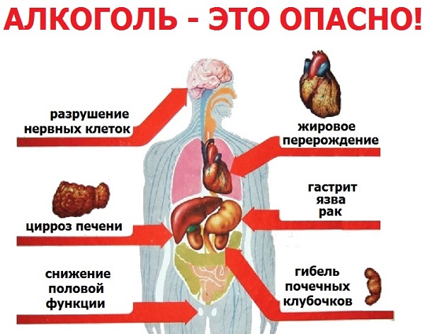 Вред от алкоголя