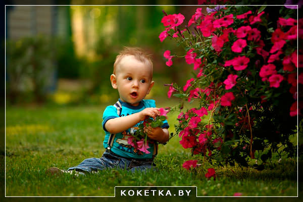 Ребенок обдирает листы с колючего куста чтобы съесть их