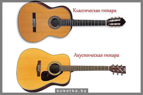 Классическая и акустическая гитары: сравнение