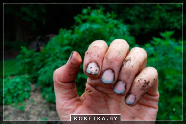 если ногти смазать мылом то они не будут засорятся грязью на огороде или в земле