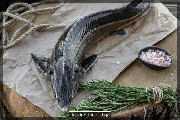 Свежего лосося коптят сразу после вылова в фермерском хозяйстве Фермеры коптят рыбу сразу