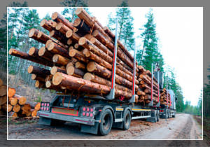 при транспортировке леса выгодно использовать сортиментовозы с прицепом