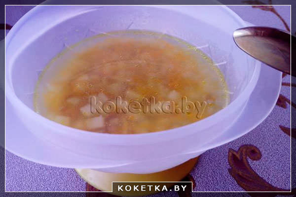 Рецепт приготовления супа с уткой для детей с фото