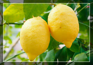 лимоны защитит вас от опасной болезни