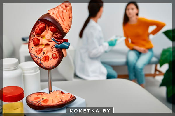 Как бороться с циститом и камнями в почках